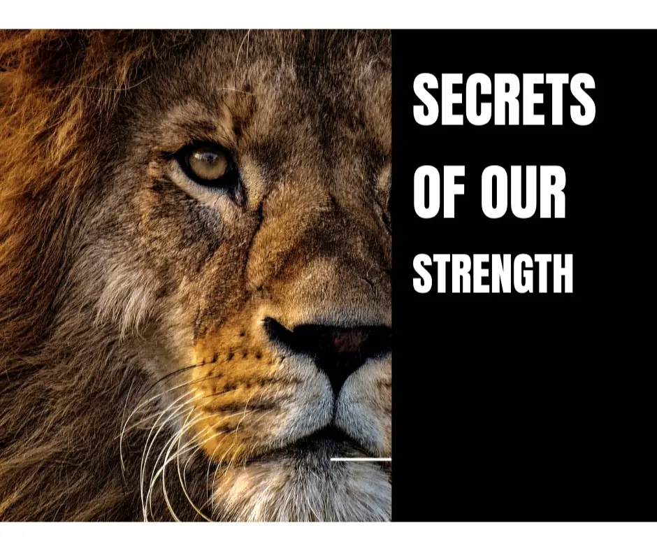 Secrets of our Strength